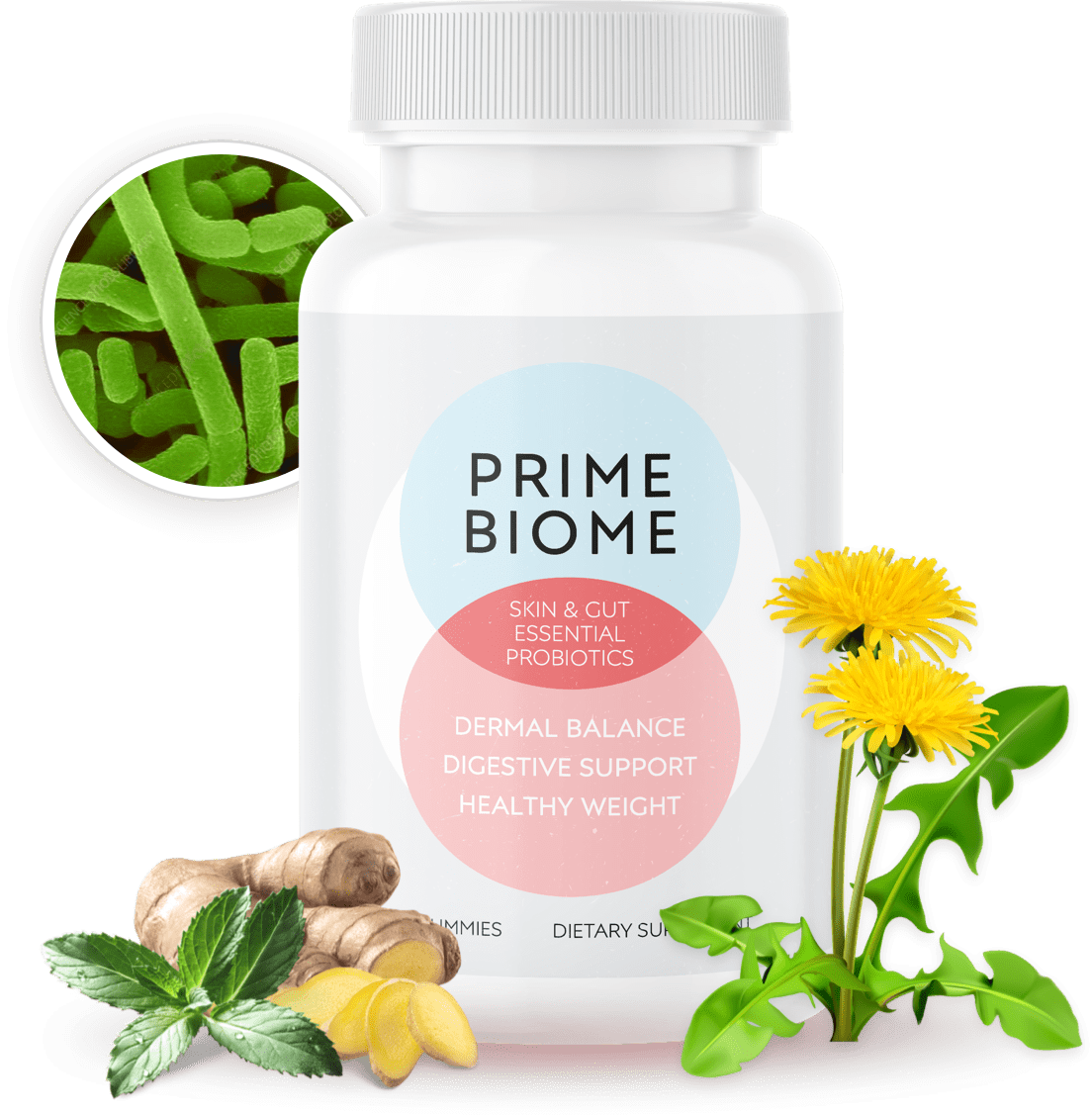 Unlock the Benefits of PrimeBiome for a Healthier, Happier You